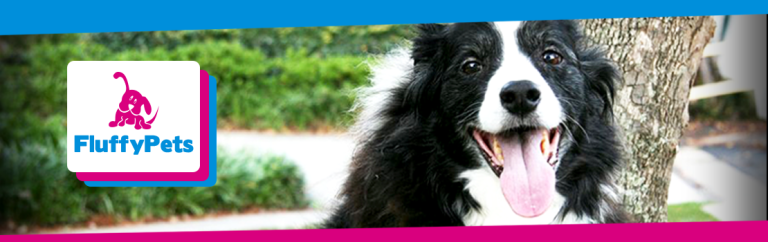 FluffyPets – Lança Identidade Visual